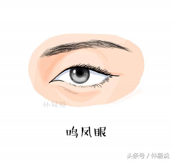 凤眼是极贵之人（女人面相清秀必然有富贵）