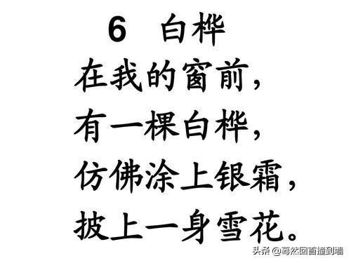 我的桌上造句