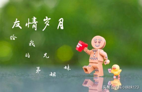 关于朋友的句子摘抄（写朋友的唯美句子摘抄）