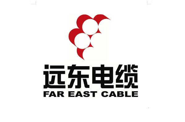 中国电线十大名牌有哪些（家用电线品牌前十大排名）