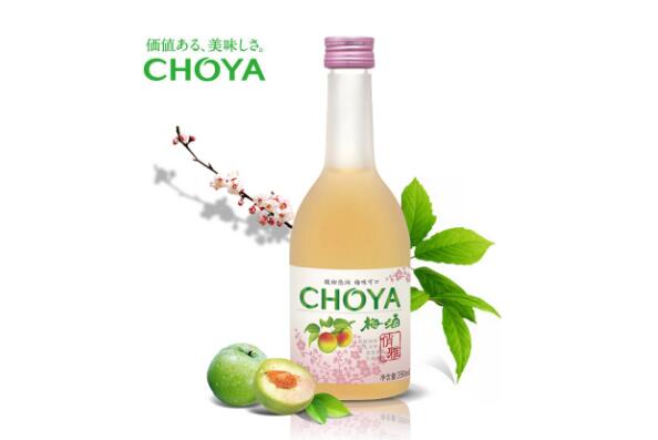 全国十大果酒品牌（果酒比较有名的牌子介绍）