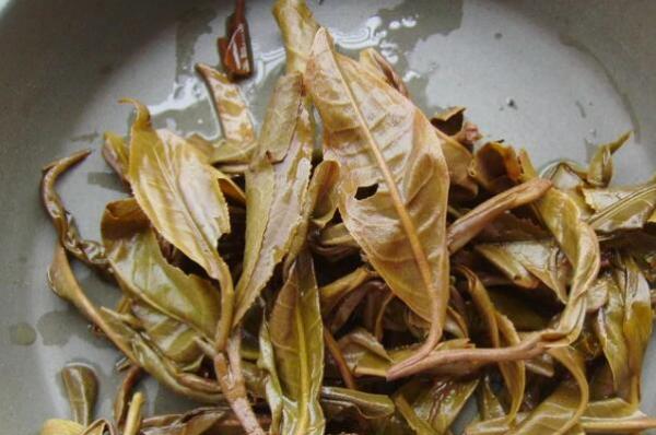 有诗意的茶名字（茶字古风诗意的网名）
