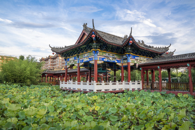 纳凉古诗全文翻译（古诗纳凉秦观全文翻译）