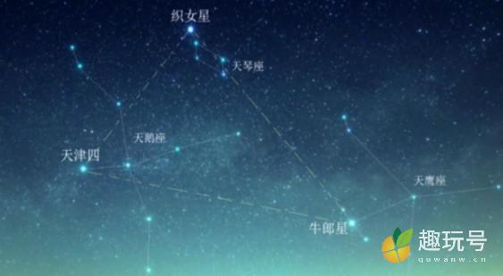 牛郎星属于什么星座（带你了解牛郎星所在的星座是什么）
