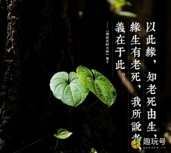 皈依是什么意思（皈依后每天需要做什么）