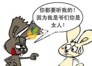大男子主义是什么意思（带你了解大男子主义的具体表现）