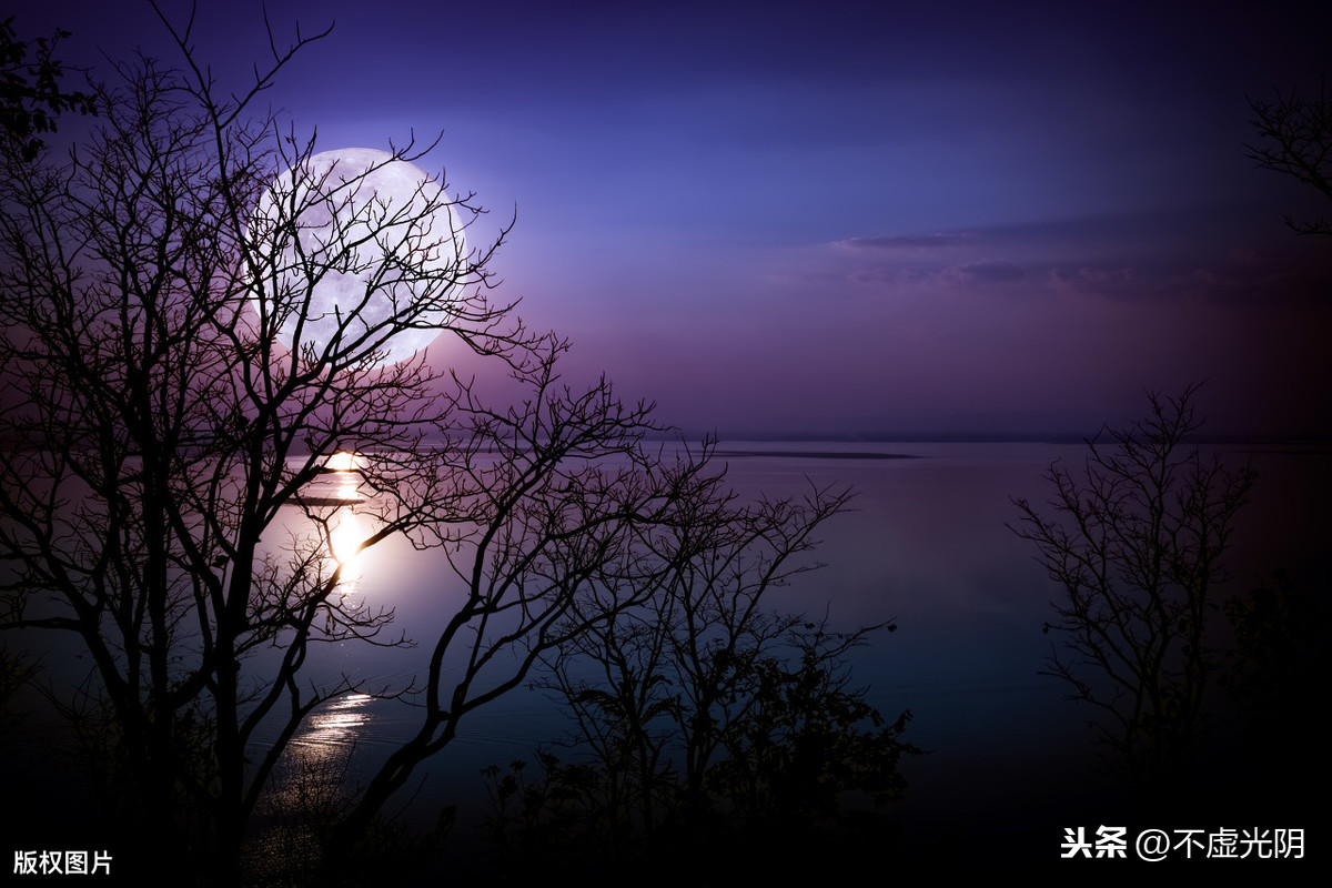 十五夜望月王建翻译（十五夜望月王建译文翻译）